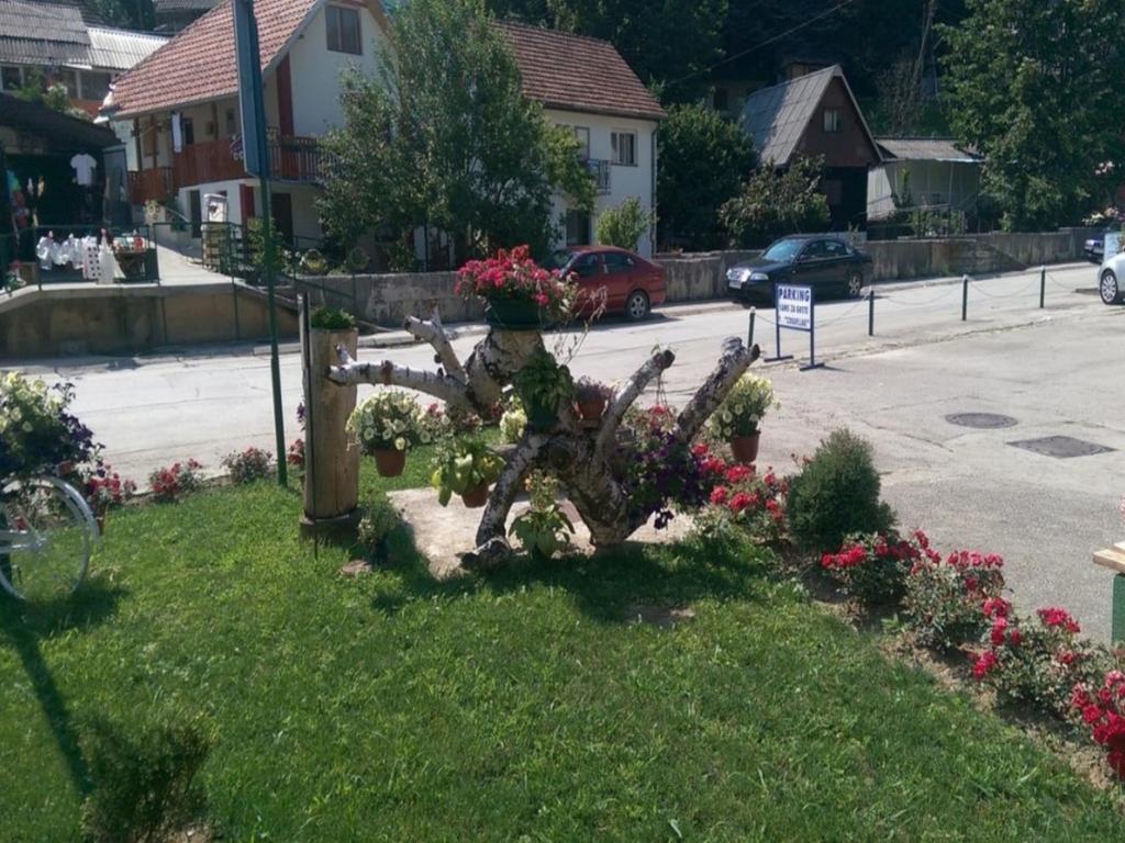 Guesthouse Edelnice Gornja Trepča Eksteriør bilde