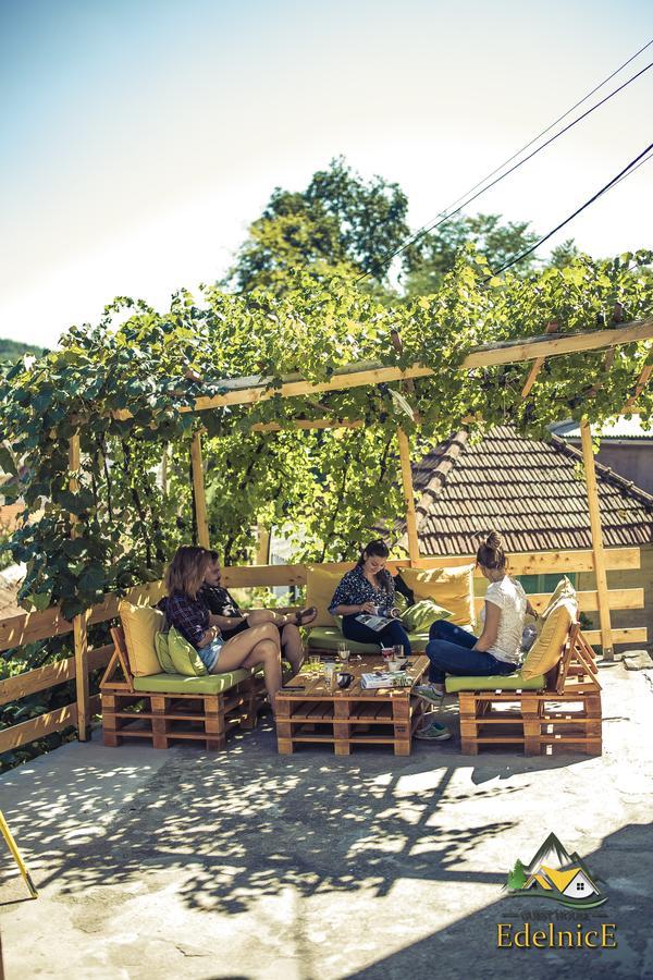Guesthouse Edelnice Gornja Trepča Eksteriør bilde