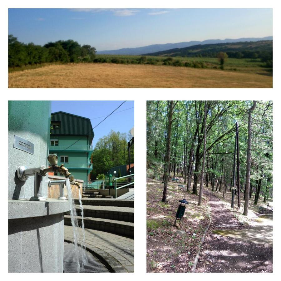 Guesthouse Edelnice Gornja Trepča Rom bilde